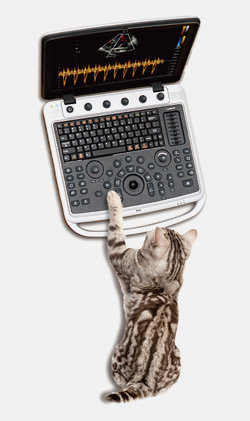 Sonobook 7 VET