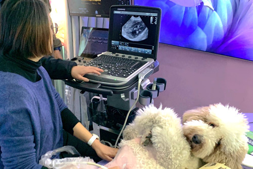 CHISON Sonobook 7 VET ветеринарный УЗИ аппарат